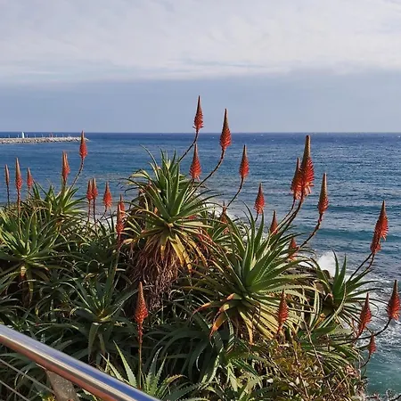 Classic Porto Maurizio