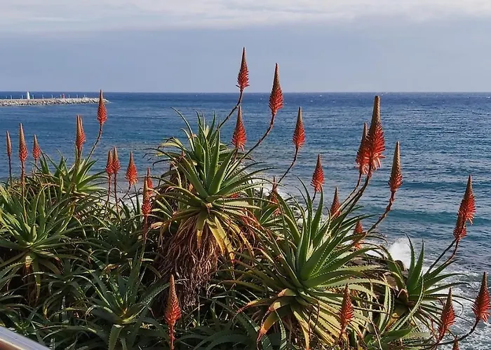 Classic Porto Maurizio